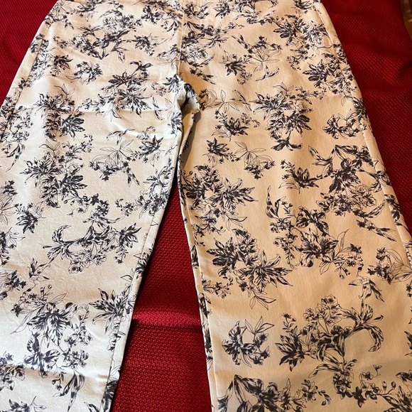 Madewell floral pants
Size- large - Picture 1 of 8